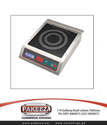 Commercial Induction Cooking Hobs